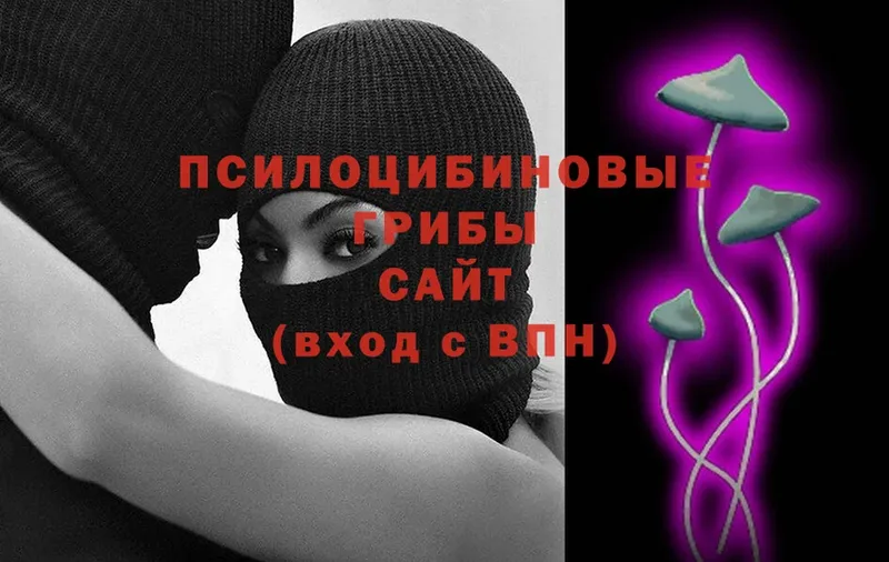 Где купить Венёв Галлюциногенные грибы  блэк спрут ссылки  ГАШ  Каннабис  Alpha PVP  МЕФ 